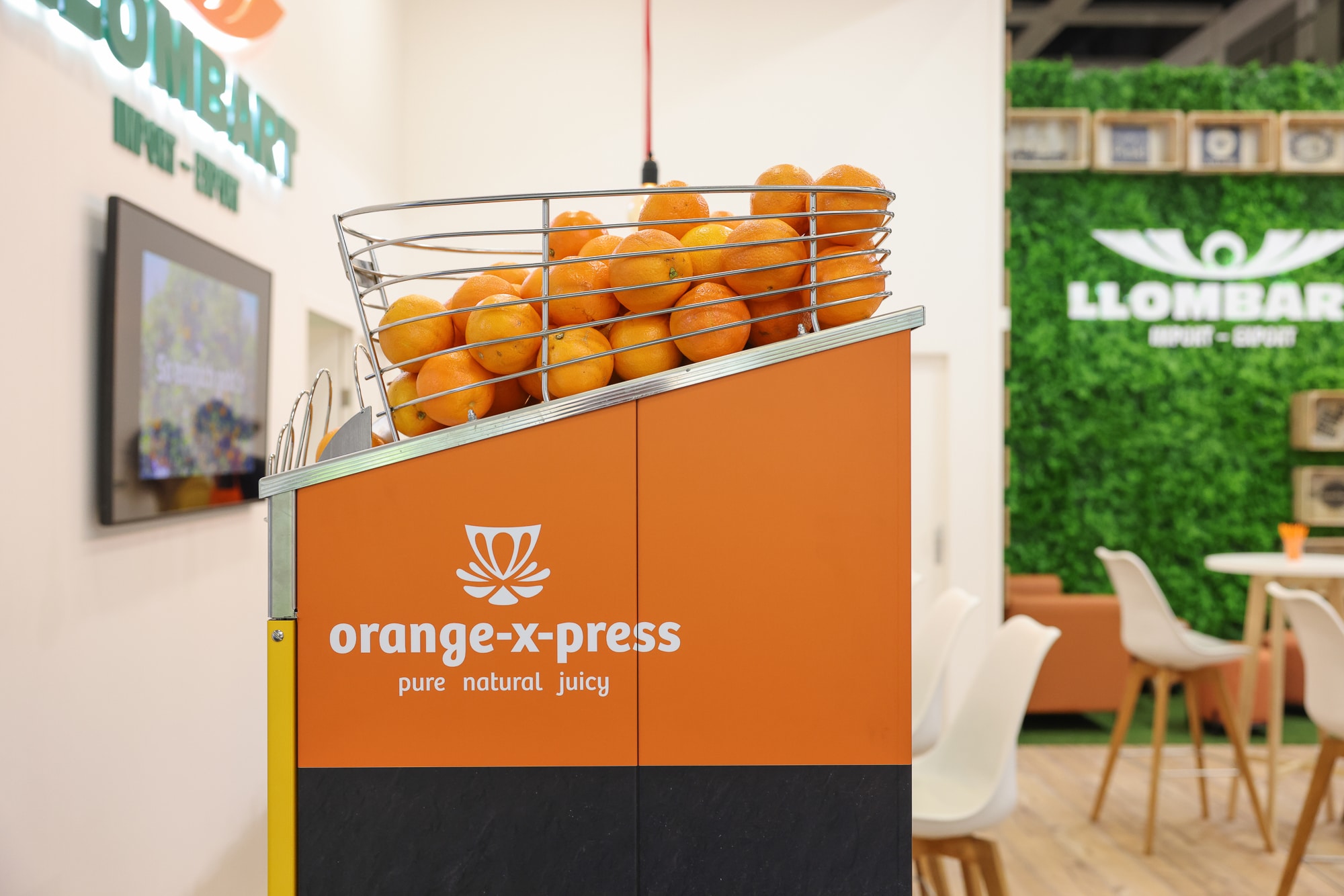 Trade - Gallery 09 - Exhibition stand 13 web gewerbe messestand fruitlogistica 0013
